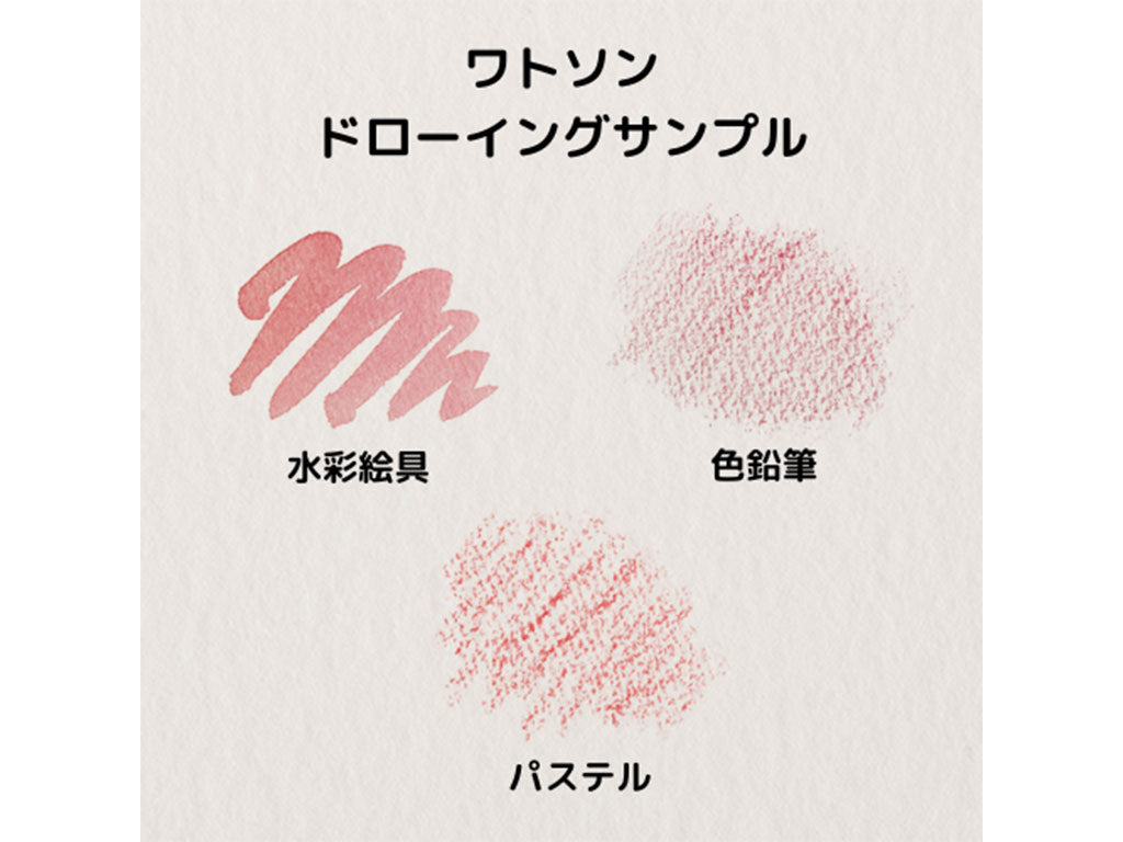 muse ワトソンブロック SM・F4・F6・F8・F10