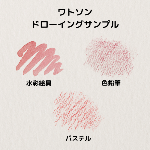 ミューズ ポストカードパック ワトソン 特厚口