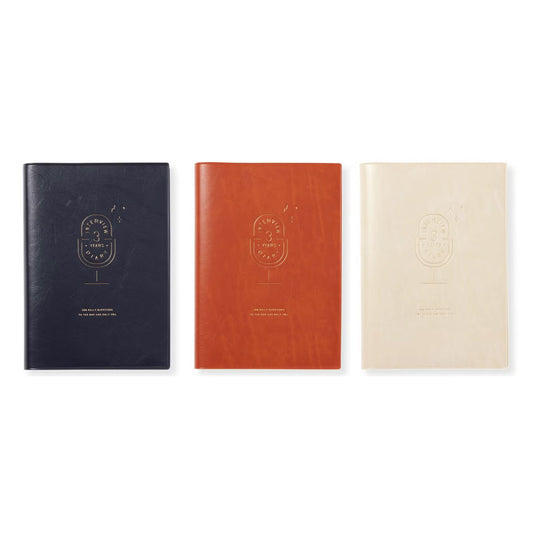 3 YEAR INTERVIEW DIARY