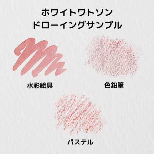ミューズ ポストカードパック ホワイトワトソン