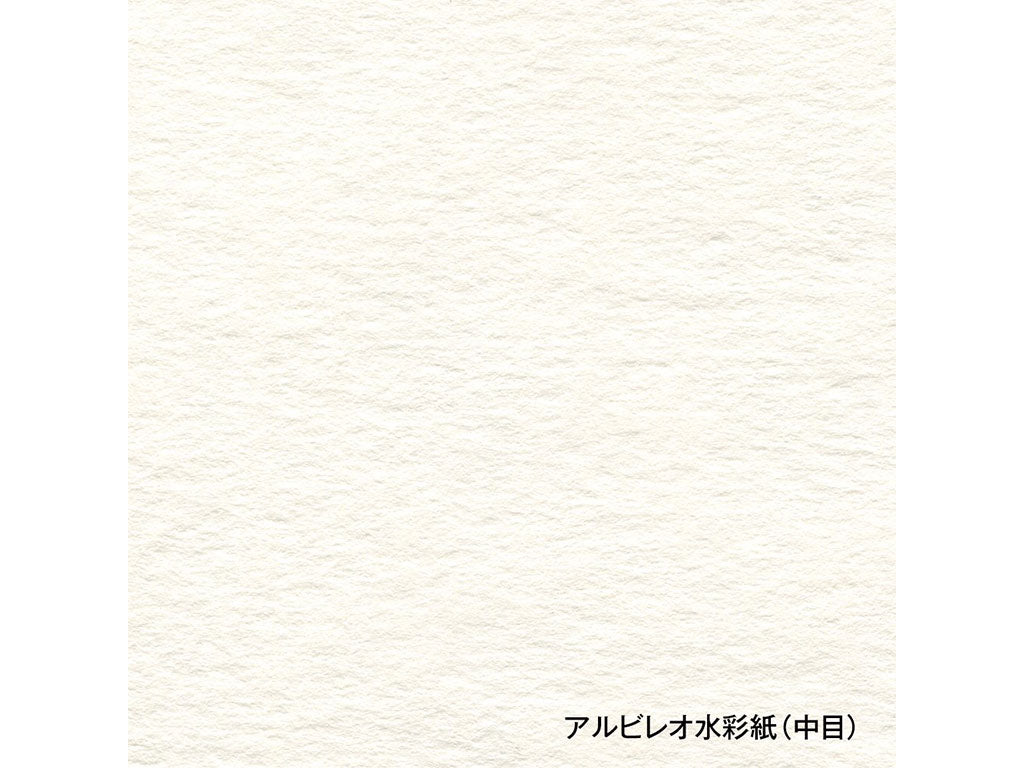 holbein アルビレオ水彩紙 ブロック SM・F4・F6・F8