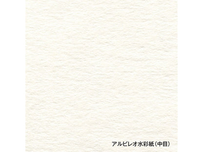 holbein アルビレオ水彩紙 ブロック SM・F4・F6・F8