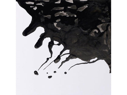 Winsor&Newton ドローイングインク 14ml Black Indian Ink